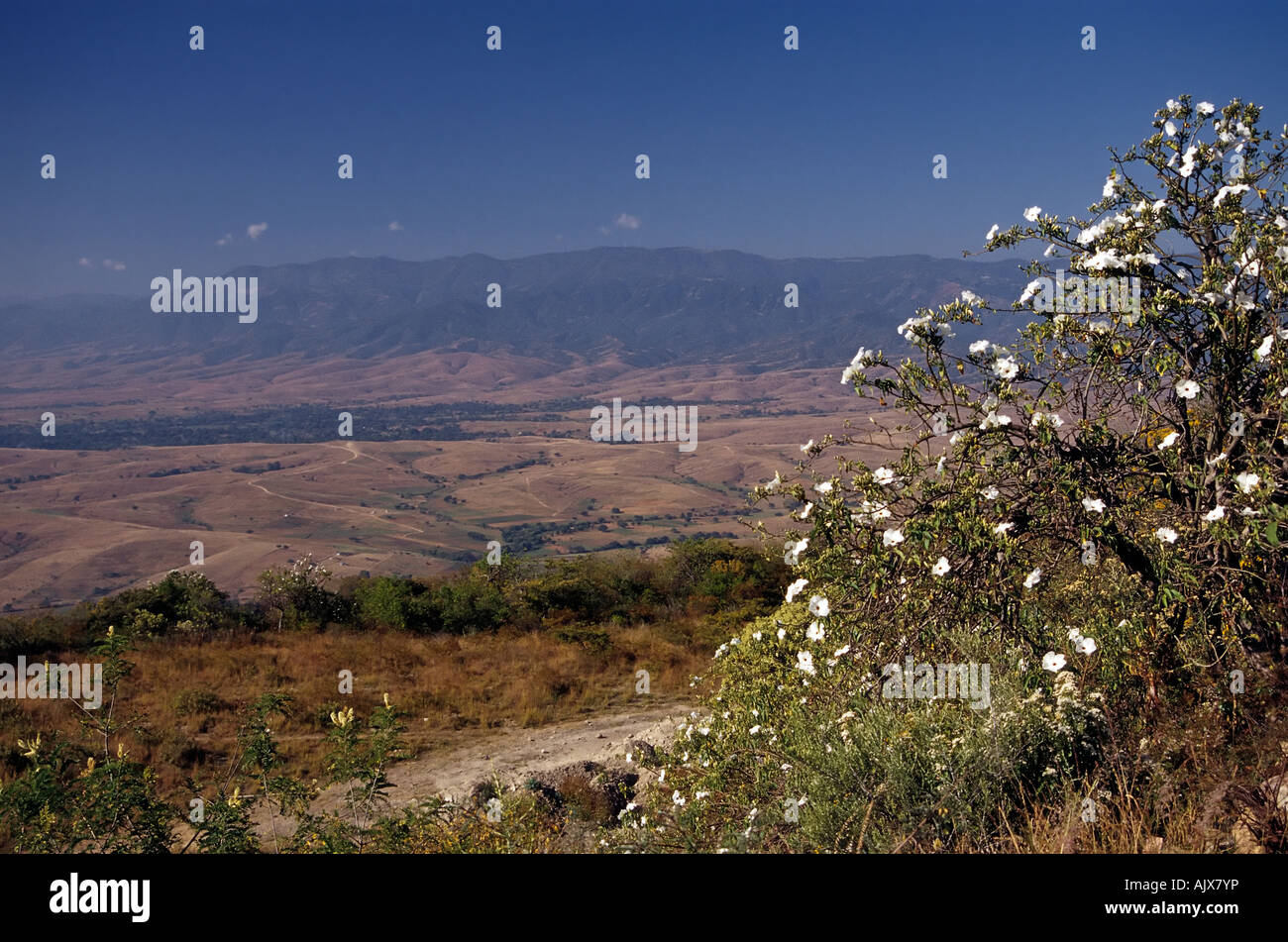 Sierra Madre Del Sur-Blick vom Monte Alban in der Nähe von Oaxaca, Mexiko Stockfoto
