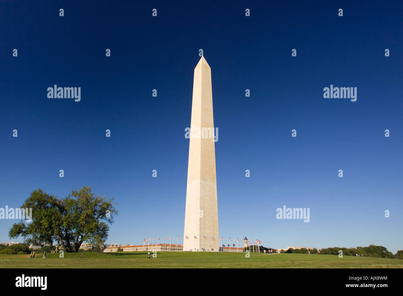 WASHINGTON DC USA Washington Monument auf der National Mall Stockfoto
