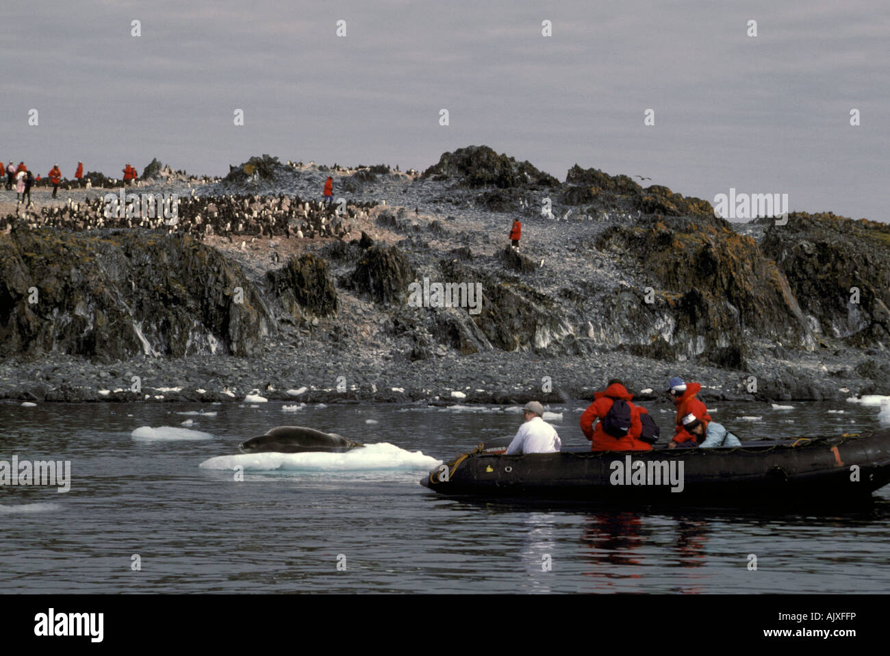 Antarktis, Kinnriemen Pinguinkolonie mit Touristen. Stockfoto