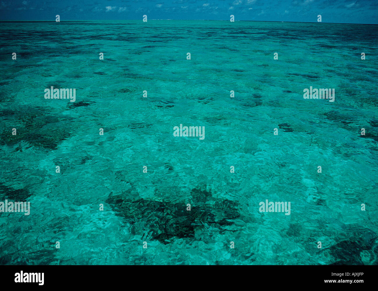 Australien, Queensland, Great Barrier Reef, ruhige See, Stockfoto