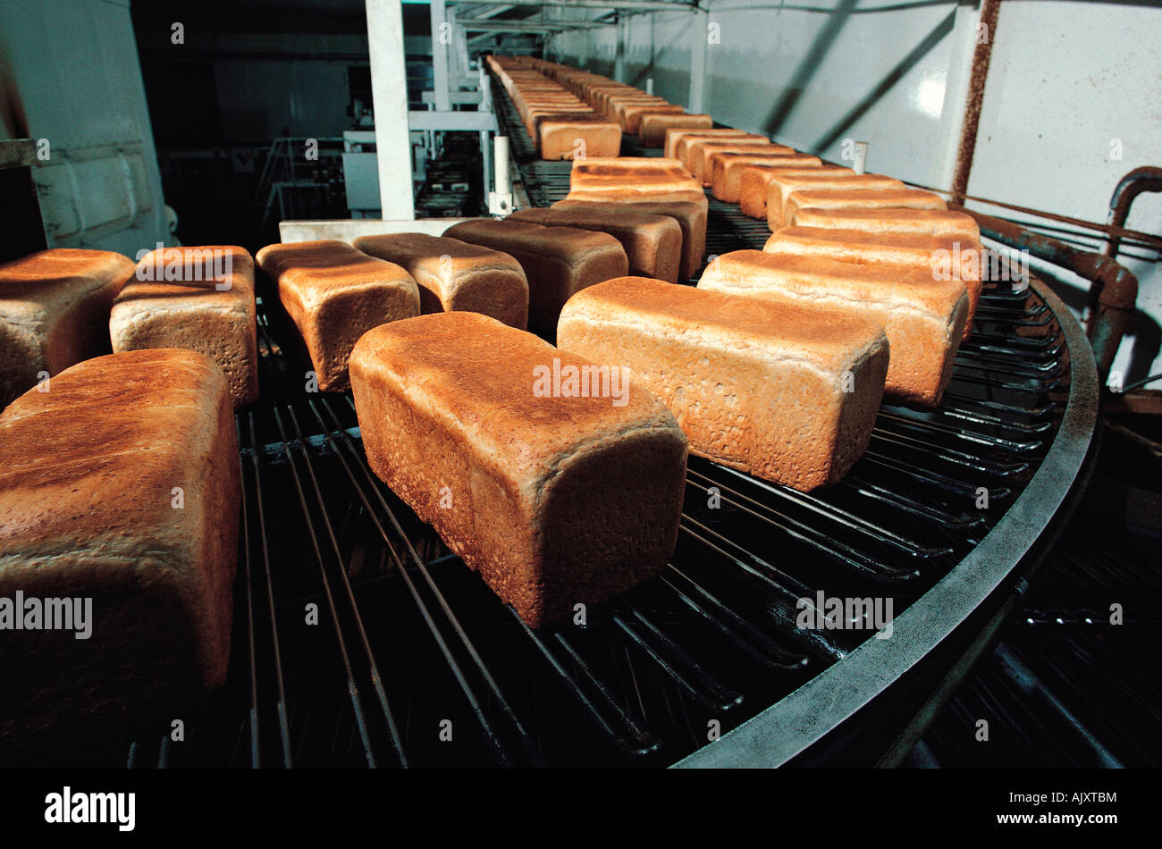 Industrielle Lebensmittelproduktion. Bäckerei. Brot Brote am Fließband. Stockfoto
