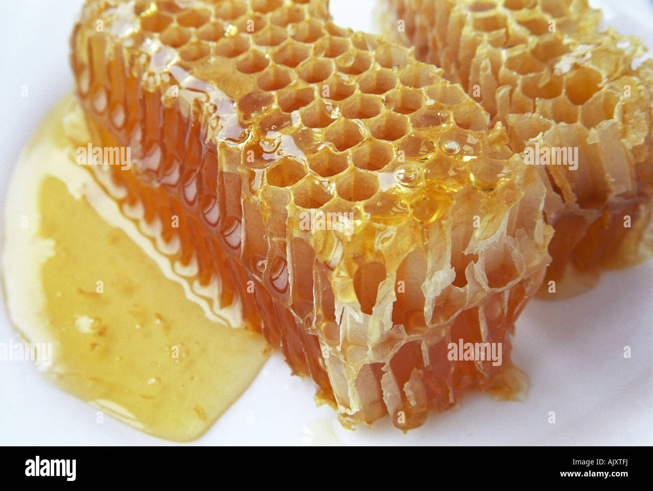 Wabenhonig auf weißen Teller Stockfoto