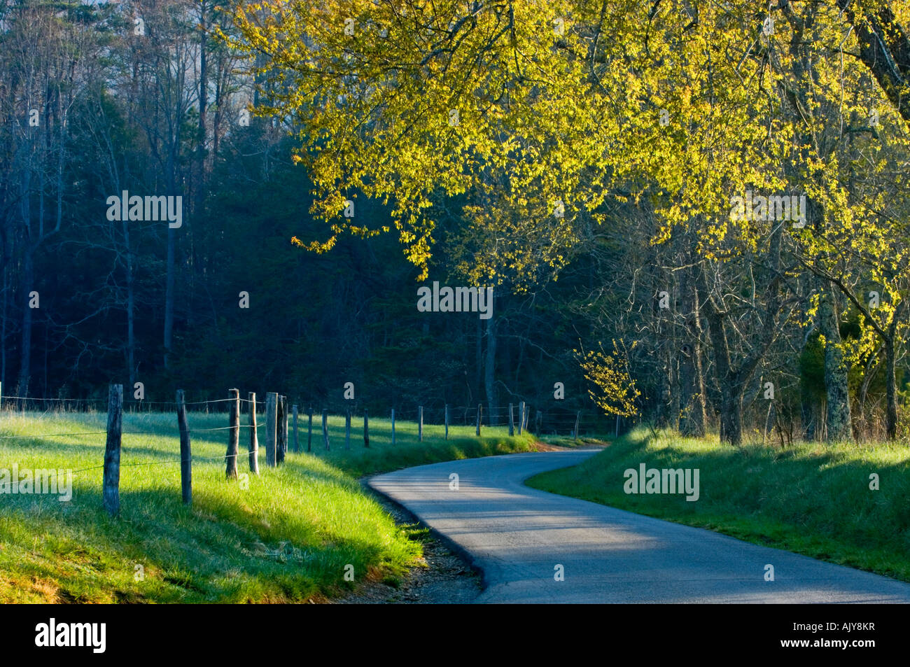 Die Loop Road und Zaun in Cades Cove, Great Smoky Mountains National Park, Tennessee, USA Stockfoto