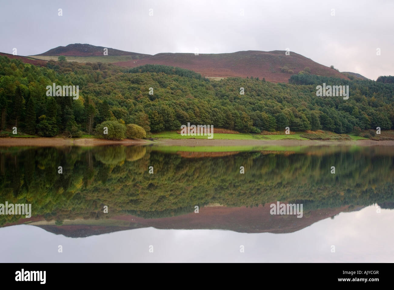 Blick in Richtung Whinstone Lee Tor über Ladybower Vorratsbehälter im Peak District in Derbyshire Stockfoto