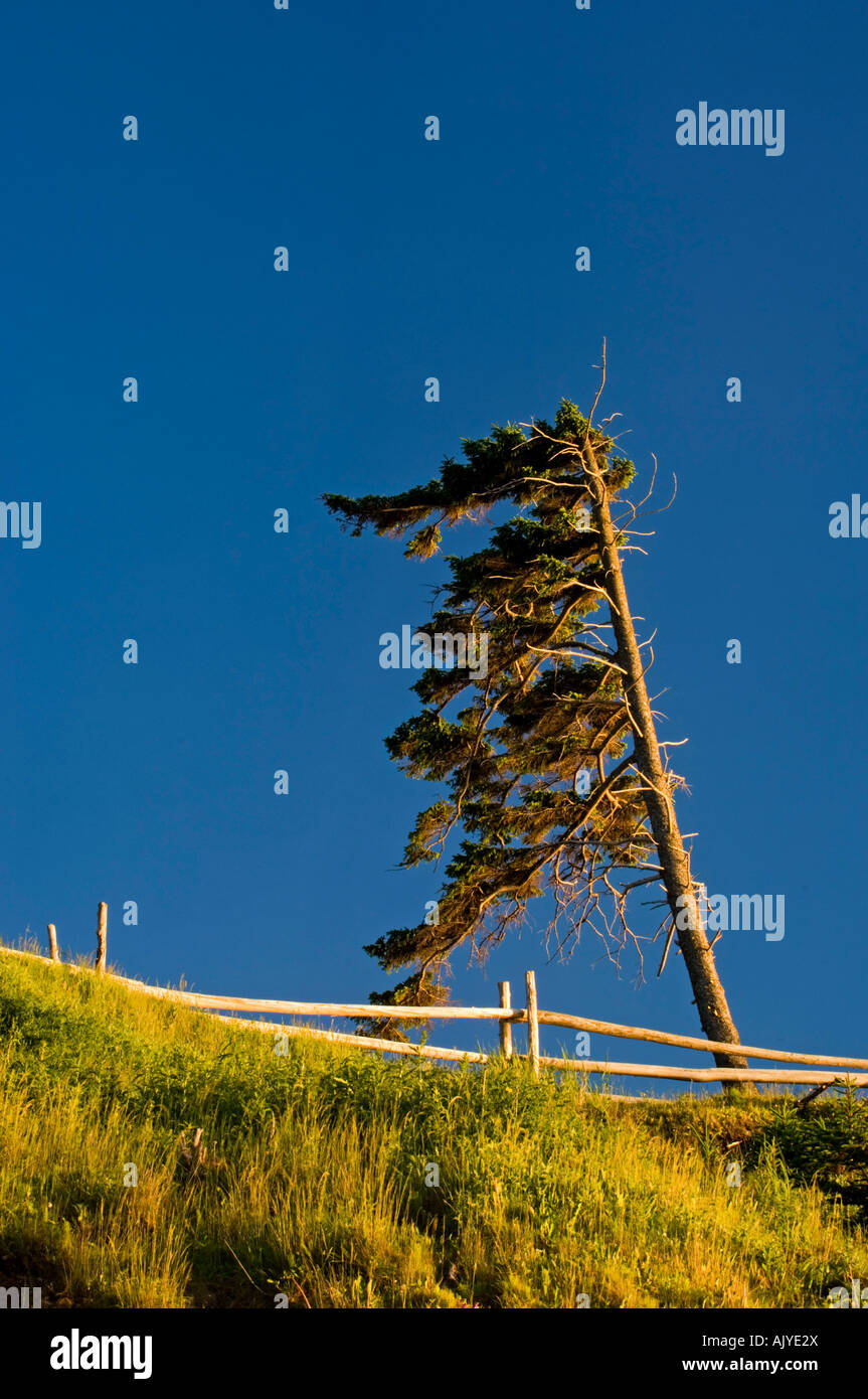 Pokeshaw park new brunswick Fotos und Bildmaterial in hoher Auflösung Alamy