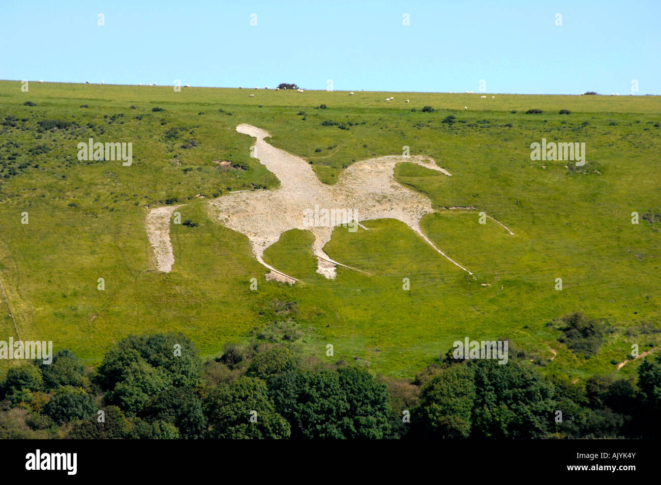 Weißes Pferd, Osmington in der Nähe von Weymouth, Dorset UK Stockfoto