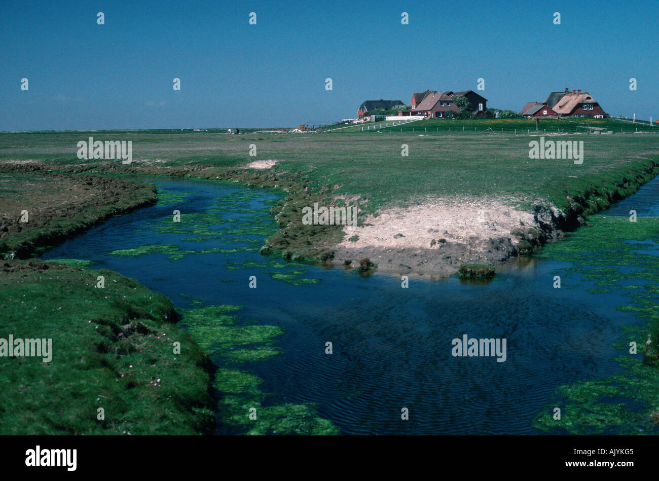 Hallig Hooge Stockfoto