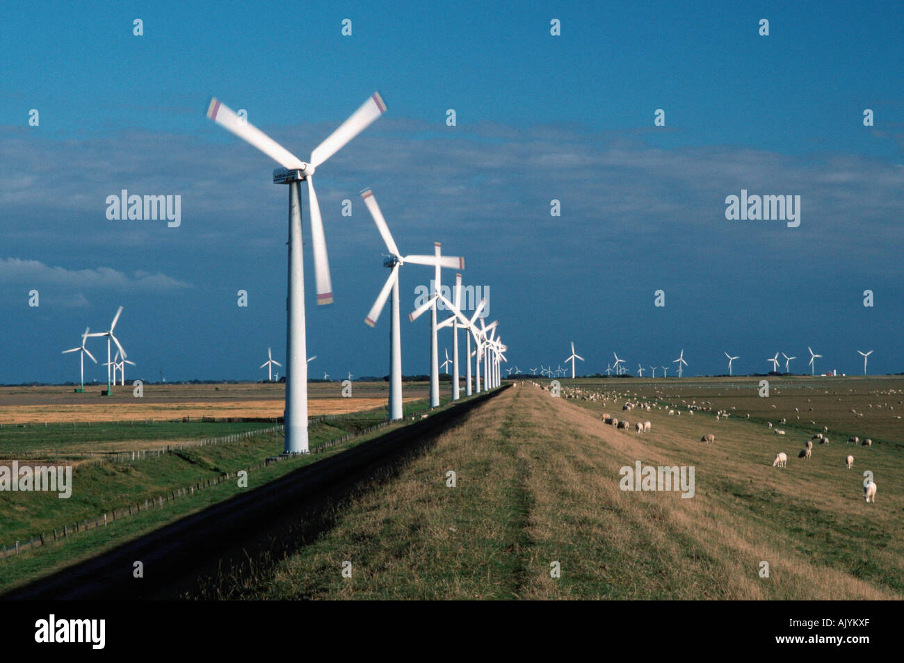 Wind-Mühle / Wind turbine Stockfoto