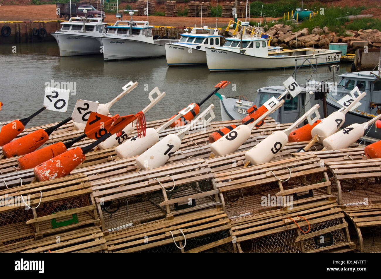 Hummer fallen, Bojen und vertäut Langleinenfischer im Hafen von Seekuh Teich, Seekuh Teich, PE/PEI Prince Edward Island, Canada Stockfoto