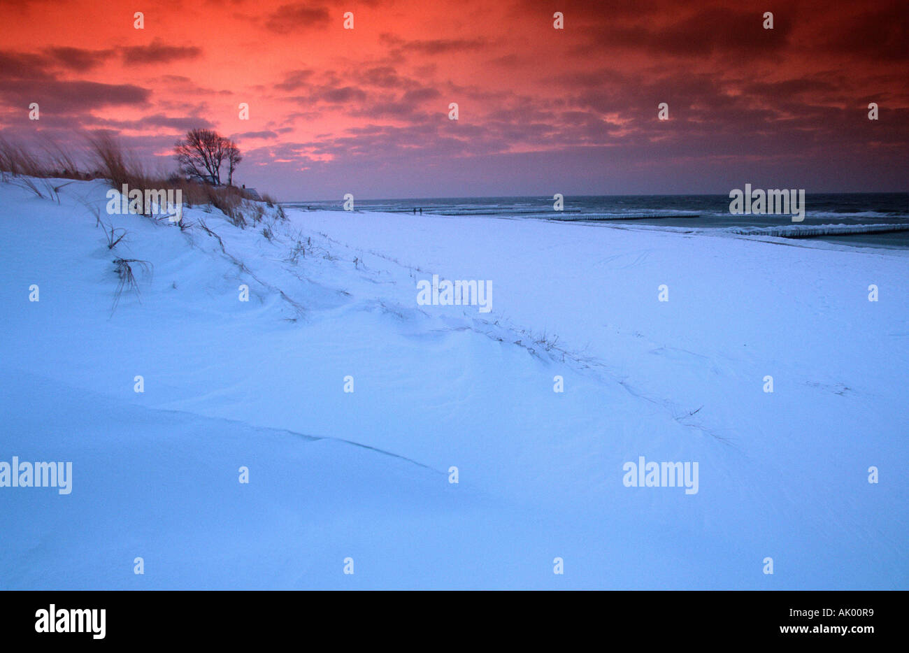 Strand im Winter / Ahrenshoop Stockfoto