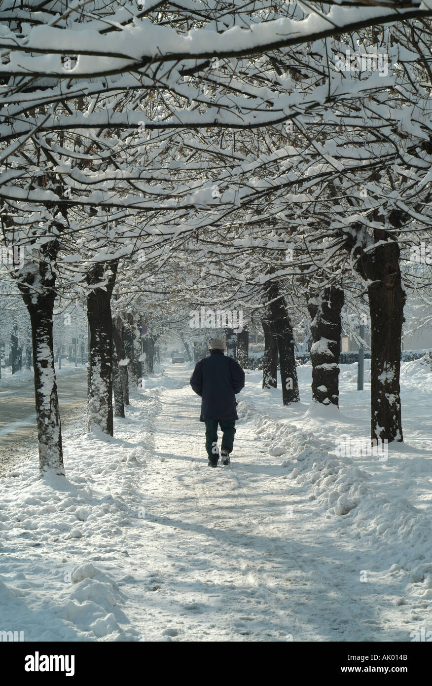 Mann zu Fuß hinunter einen Schnee bedeckten Baum gefütterte Gehsteig im Winter Stockfoto