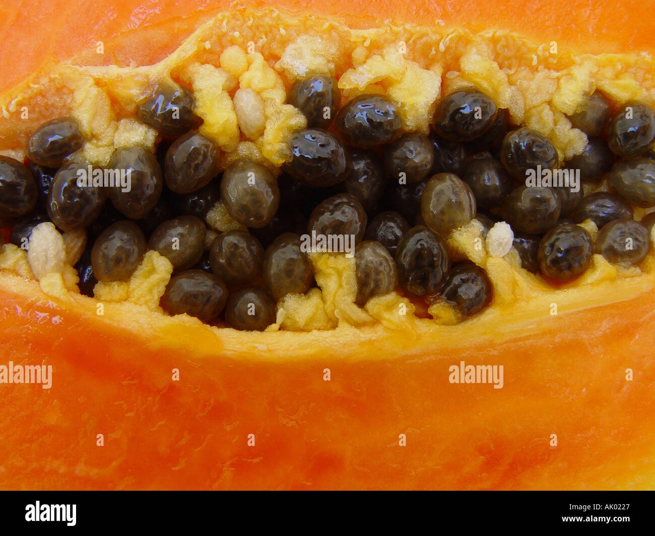 Paw Paw Frucht geschnitten zu öffnen, um zu zeigen, die Samen und essbaren Fleisches Papaya Stockfoto