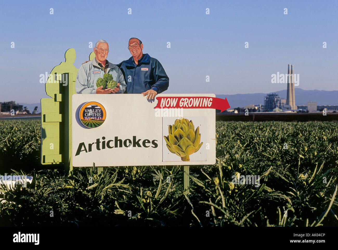 Einen Blick auf das Kraftwerk Moss Landing und eine große Artischocken-Farm in der Nähe etwa California Stockfoto