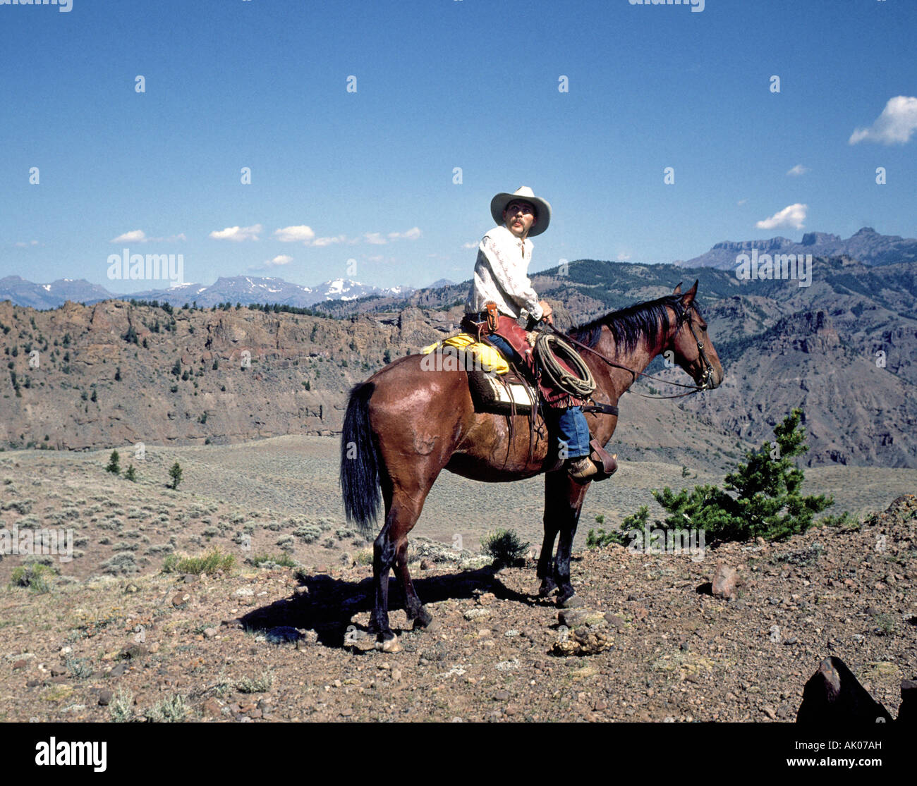 Ein Wrangler Cowboy führt einen Ausritt auf einem Dude Ranch auf der östlichen Seite des Yellowstone in der Nähe von Cody Wyoming Stockfoto