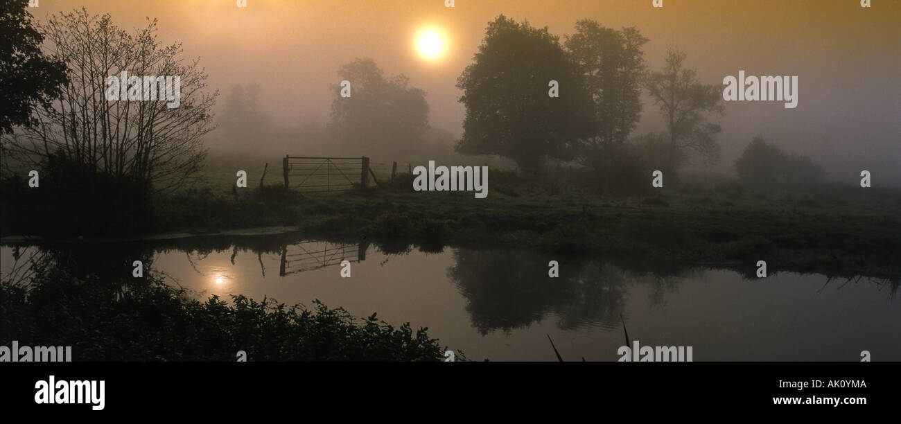 Fluss Wey Thundry Wiesen früh morgens im Spätherbst Surrey England Stockfoto