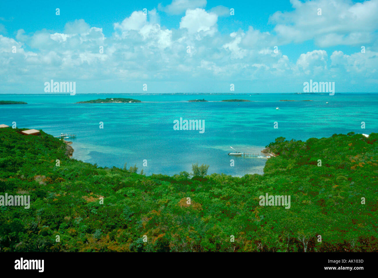Korallenriff und Vegetation Mann des Krieges Cay Great Abaco Bahamas Stockfoto