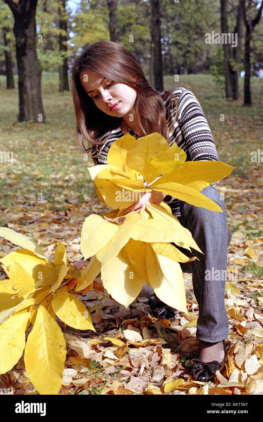 junge Frau mit Bouquet von gelben Blätter Stockfoto