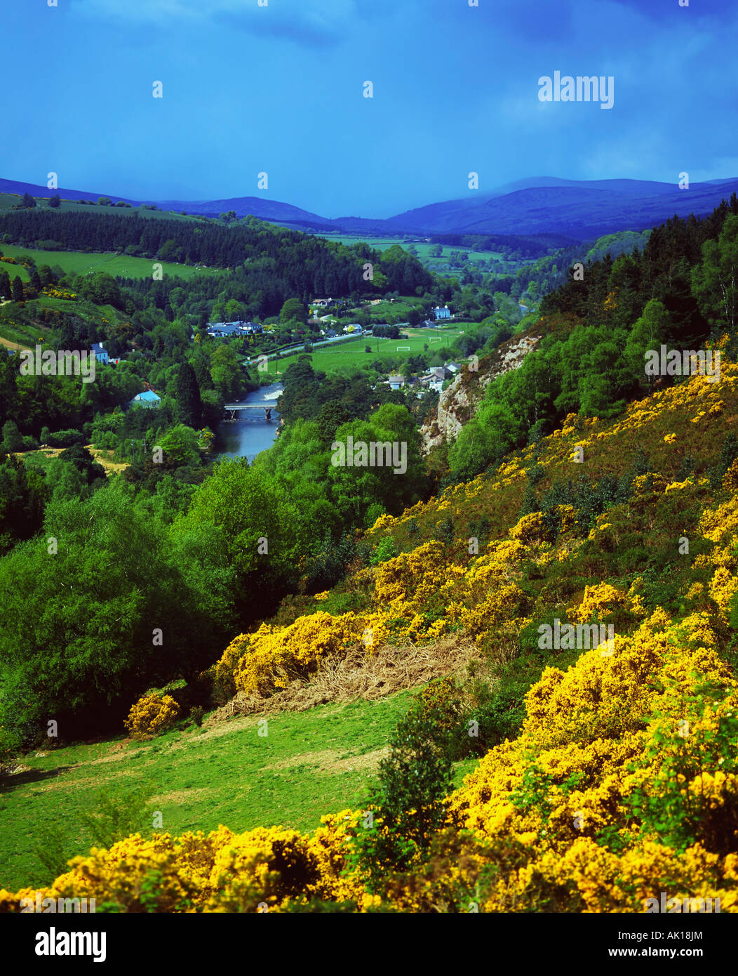 Vale von Avoca, County Wicklow, Irland Stockfoto