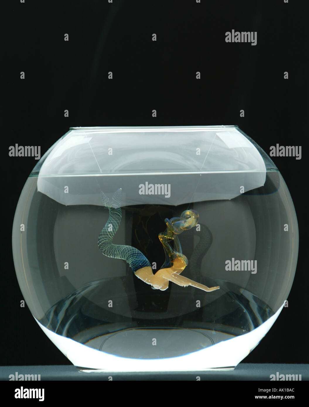 Glas-Meerjungfrau im Goldfischglas Stockfoto