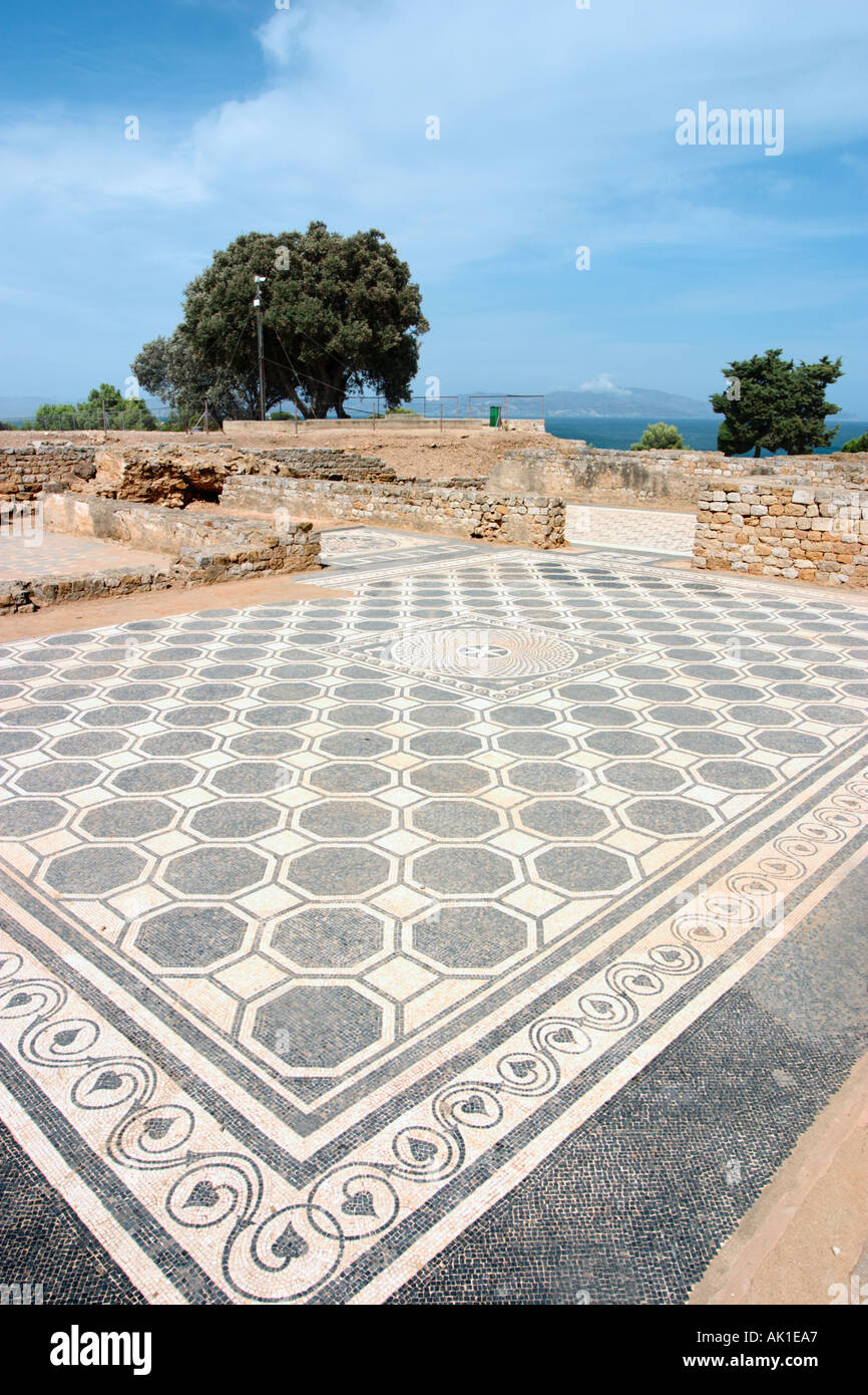 Mosaik in den Ruinen der römischen Stadt, Empuries, in der Nähe von ' Escala, Costa Brava, Katalonien, Spanien Stockfoto