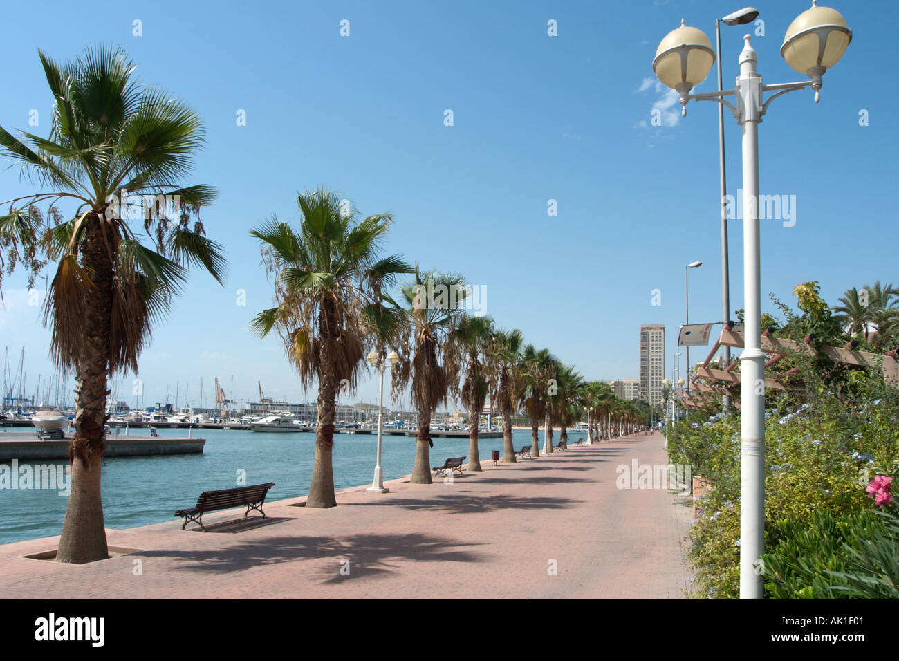 Paseo Conde de Vallellano in das Hafengebiet, Alicante, Costa Blanca, Spanien Stockfoto