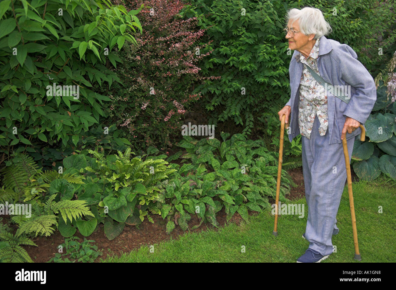 Älteren Erwachsenen gehen mit Stöcken im Garten Stockfoto