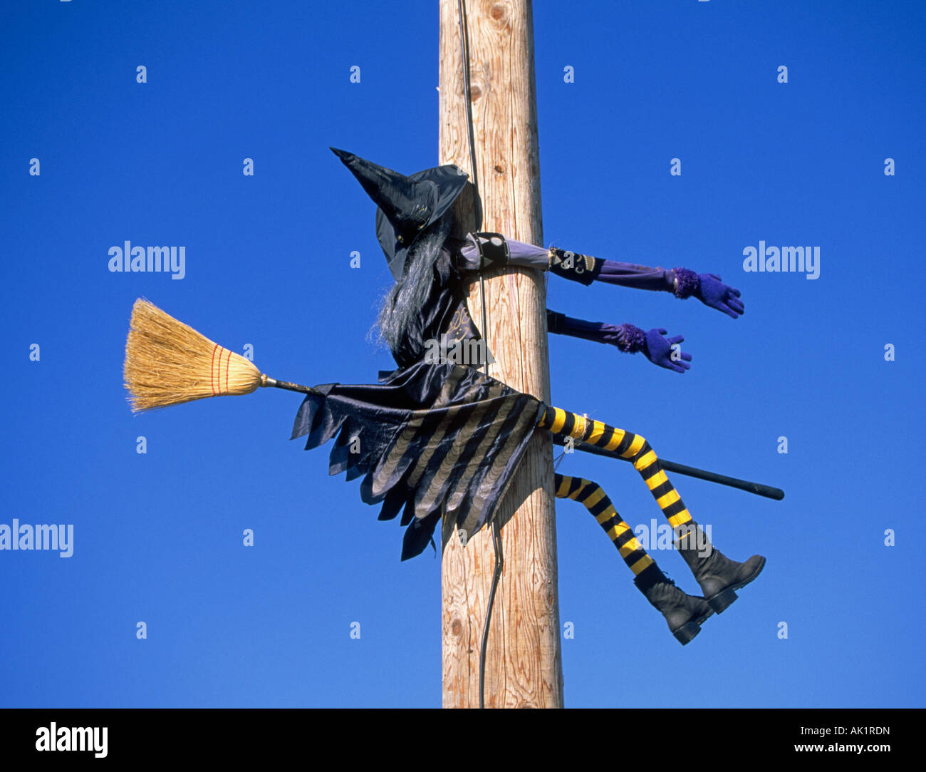 Eine Halloween-Hexe in spitzem Hut hat einen plötzlichen Stopp auf einem elektrischen Pol im Oktober Stockfoto
