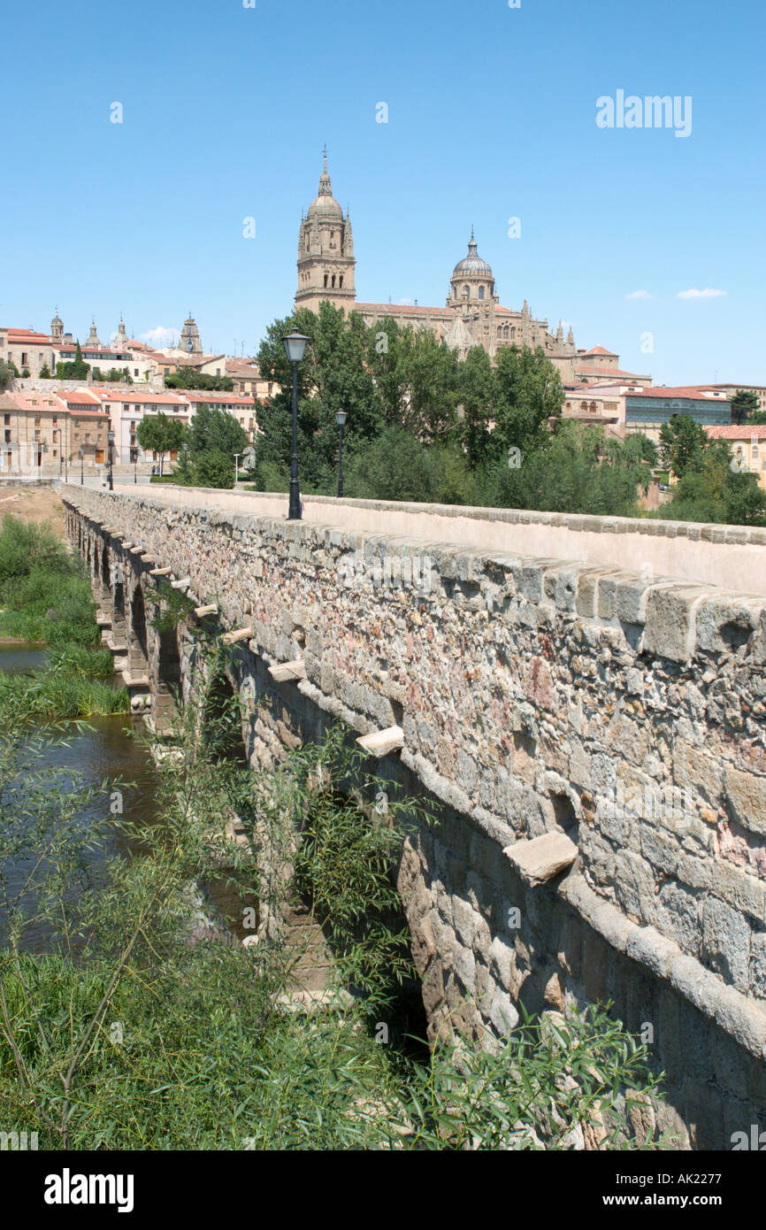 Puente Romano (römische Brücke) über den Fluss Tormes mit der Kathedrale hinter, Salamanca, Kastilien-León, Spanien Stockfoto