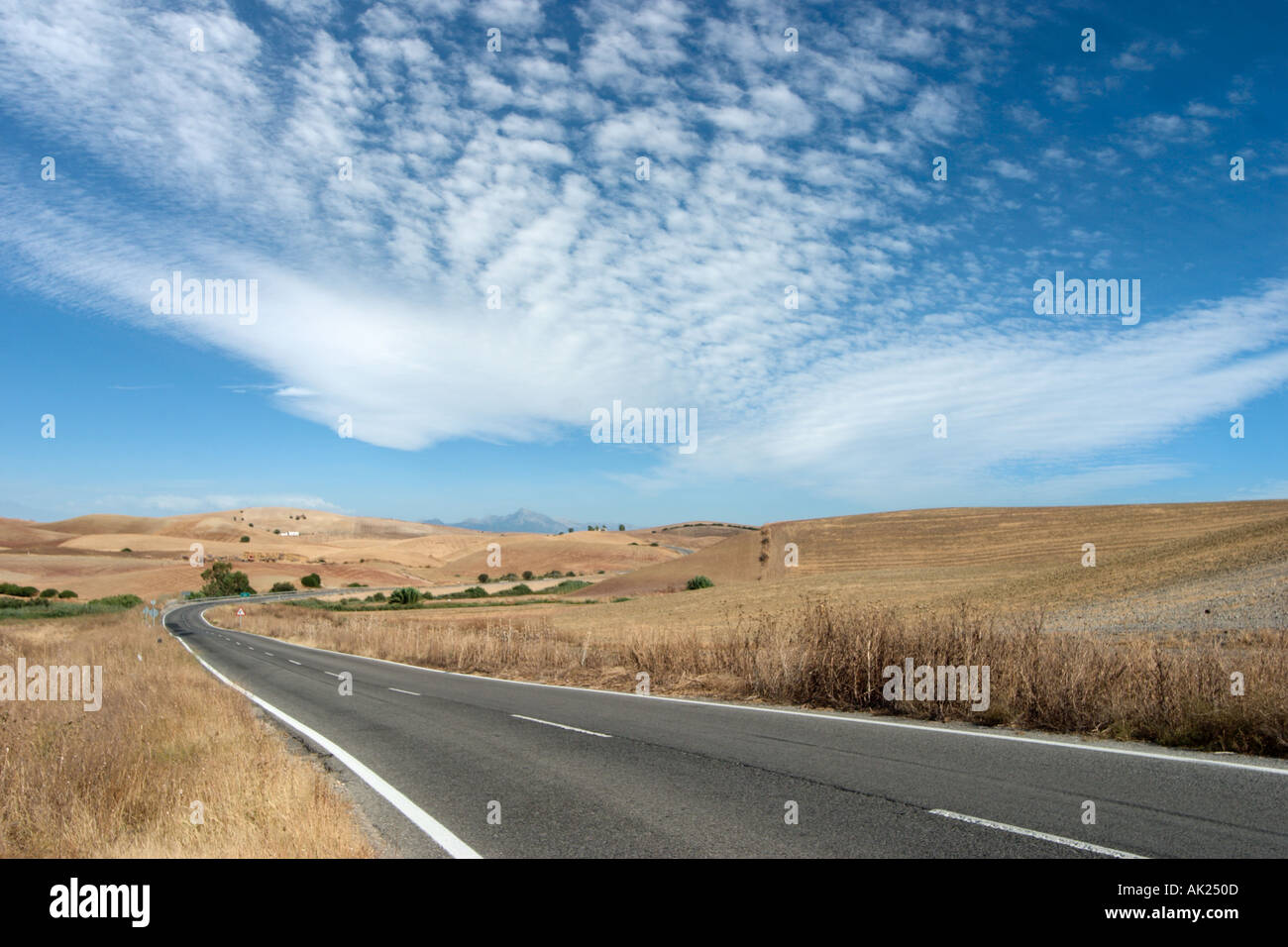Offene Straße durch eine ländliche Landschaft in der Region von Ronda, Andalusien, Spanien Stockfoto