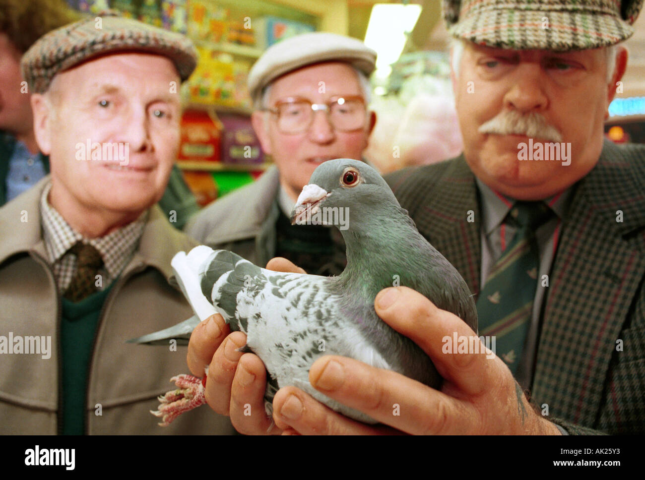 Taubenzüchter an der UK national show in Blackpool Stockfoto