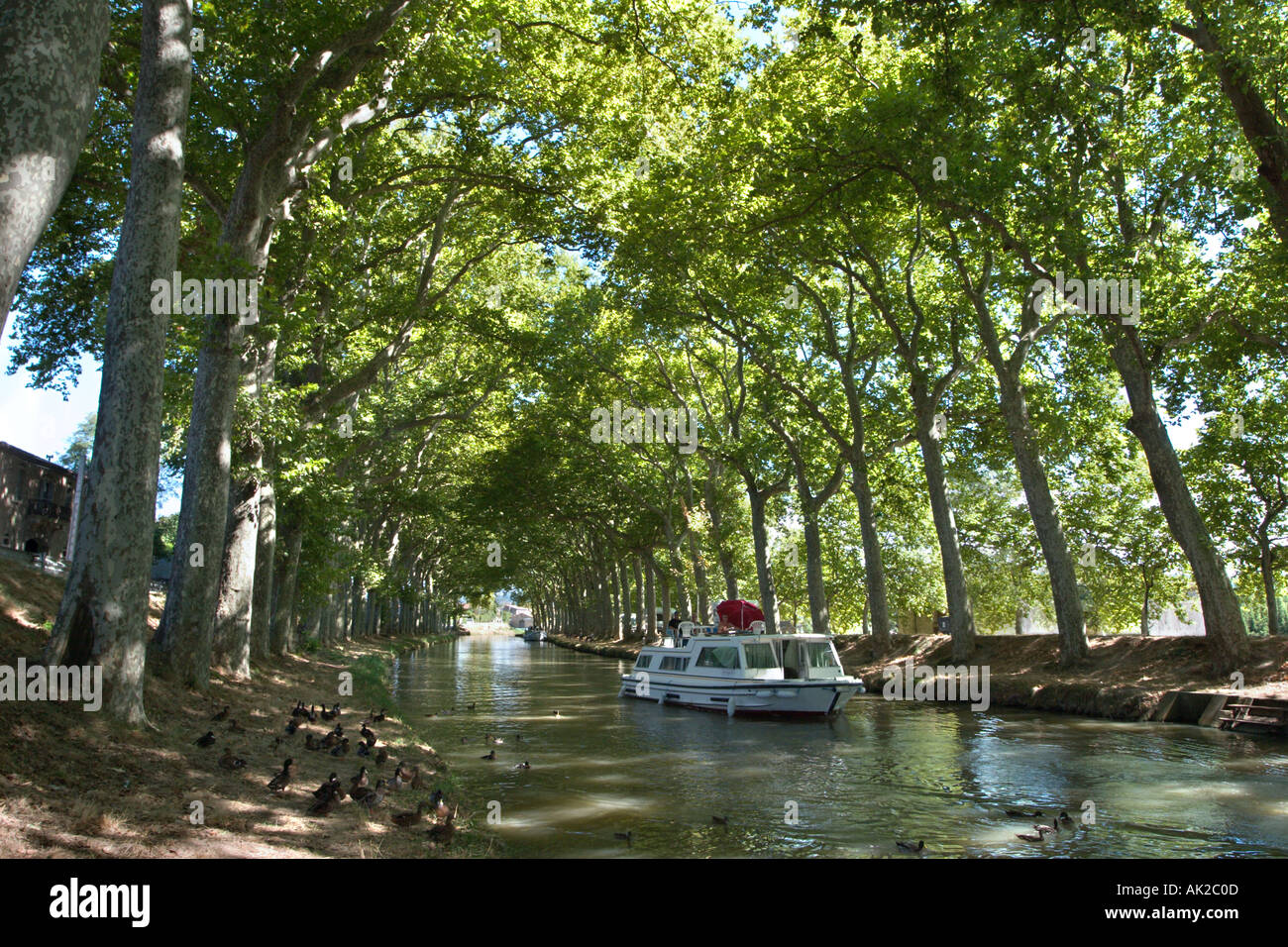 Canal du Midi, Trèbes, Aude, Languedoc, Frankreich Stockfoto