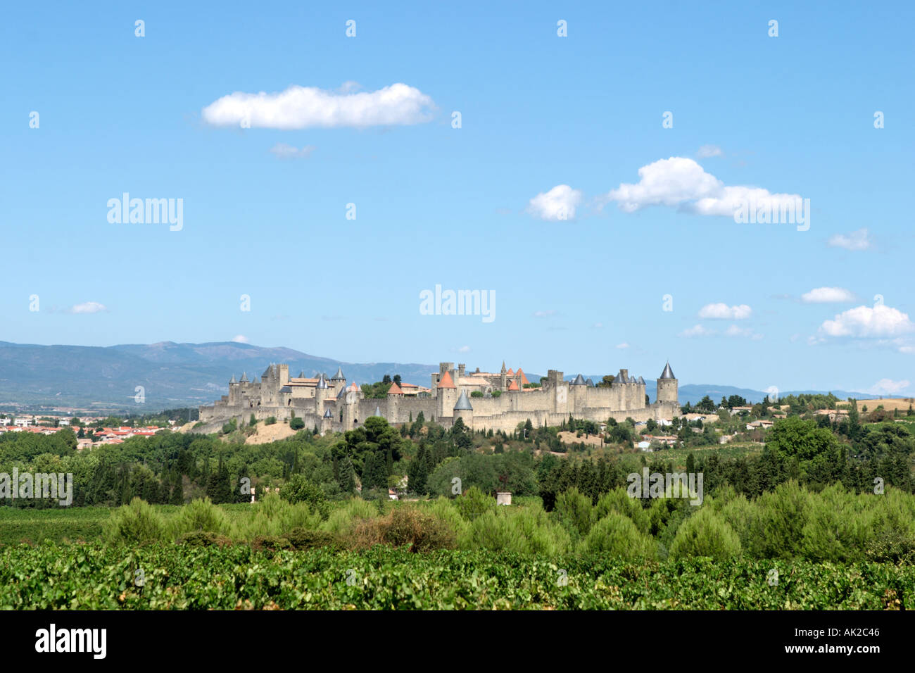 Fernblick über Weinberge der Cite de Carcassonne (mittelalterliche Festungsstadt), Aude, Languedoc, Frankreich Stockfoto