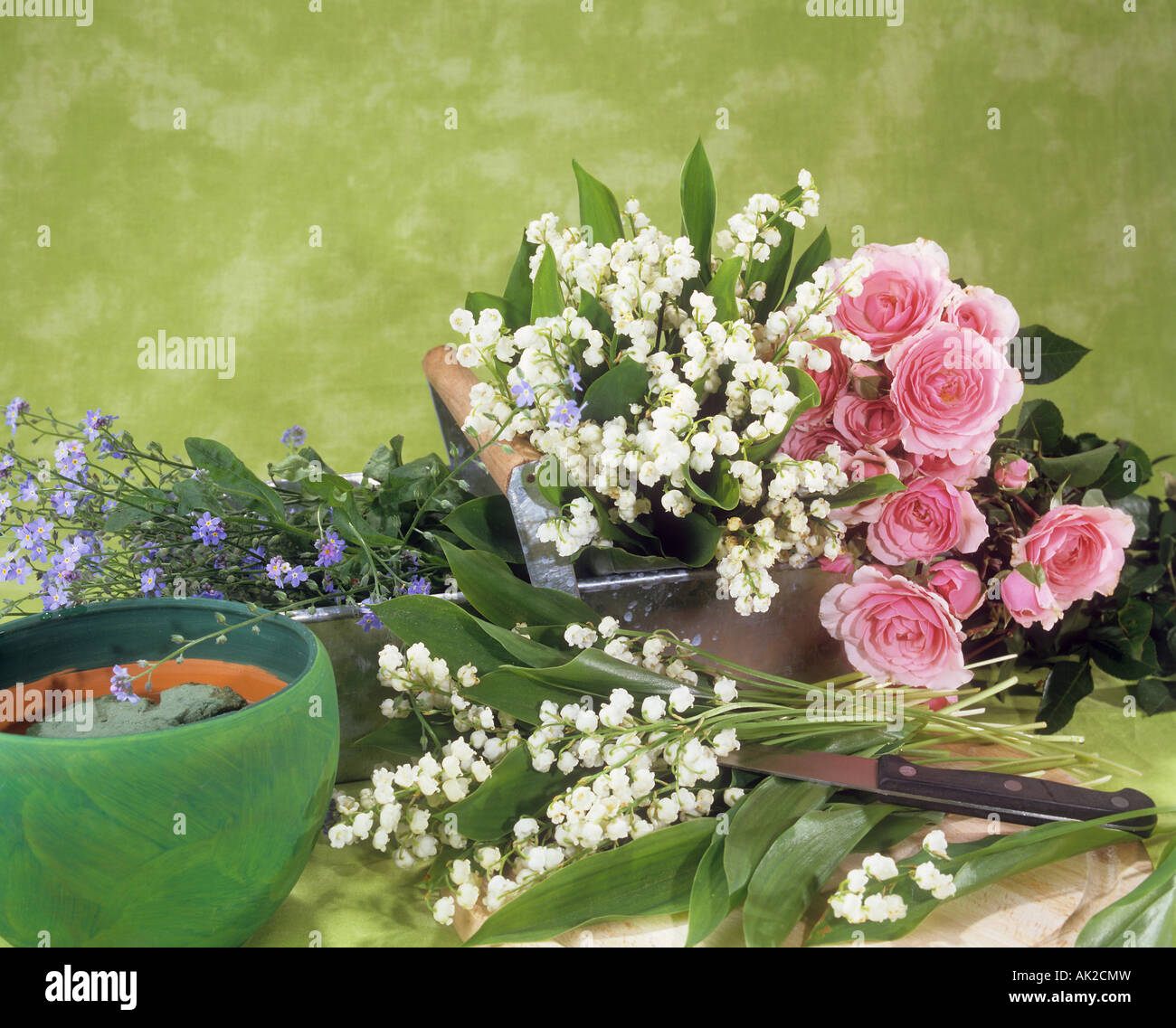 verschiedene Blumen Stockfoto
