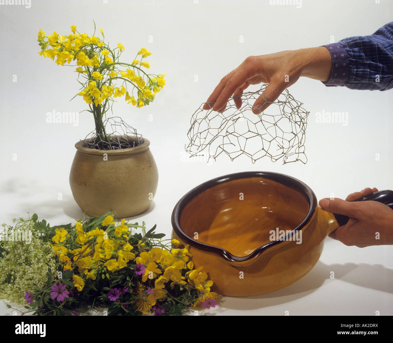 Draht und Topf für Blumenarrangements Stockfoto