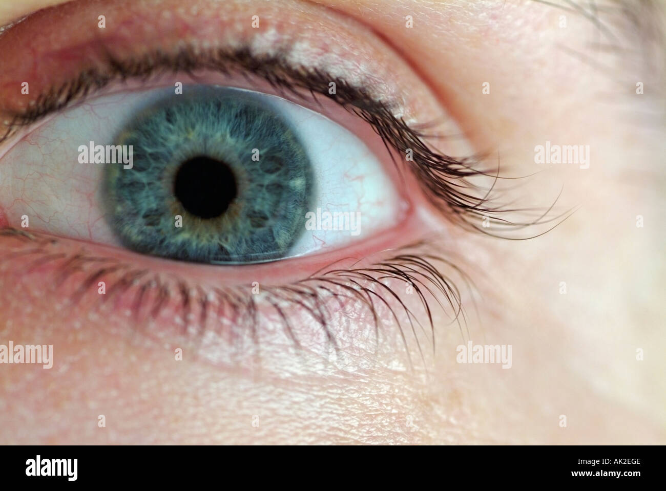 Menschliche Auge weit offen und voller Panik nah oben Stockfoto