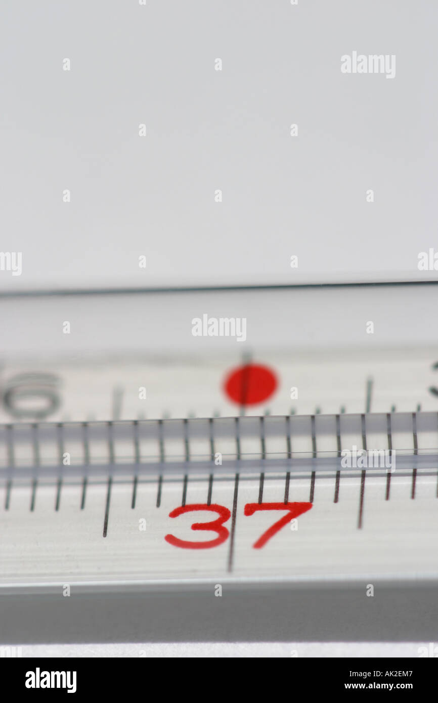 Thermometer-Instrument zeigt 37 Grad Celsius zu lesen Stockfoto