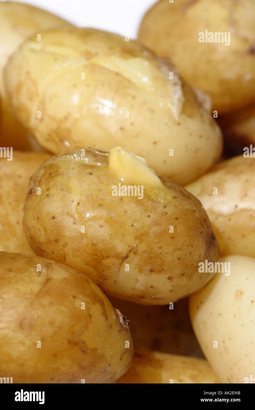 New Jersey royal Kartoffeln mit schmelzender Butter gekocht Stockfoto