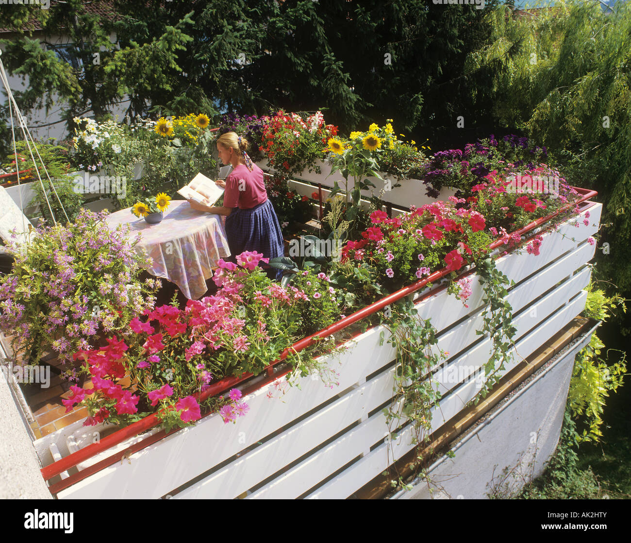 Dachgarten mit verschiedenen Blumen Stockfoto