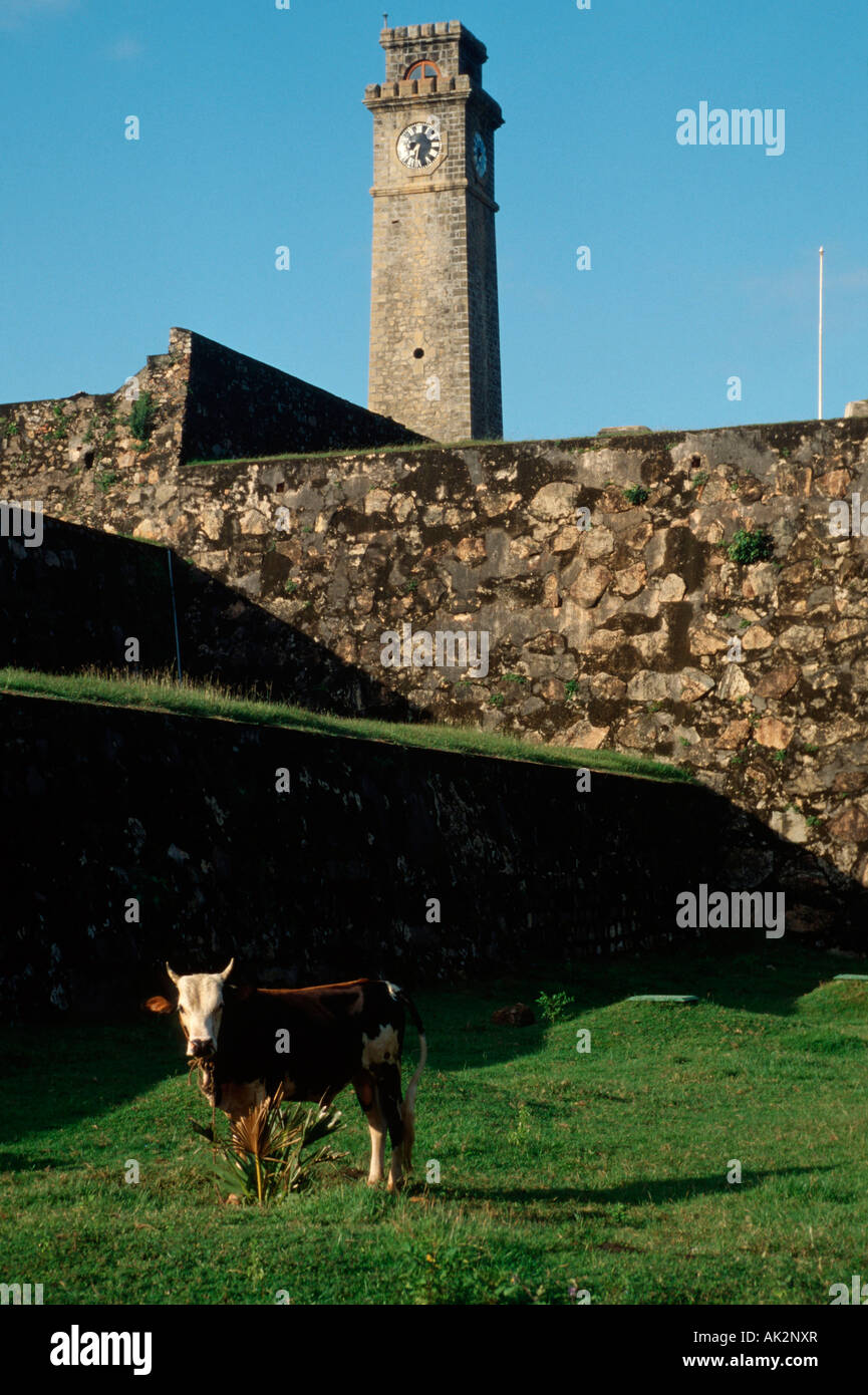 Festung, Galle Stockfoto