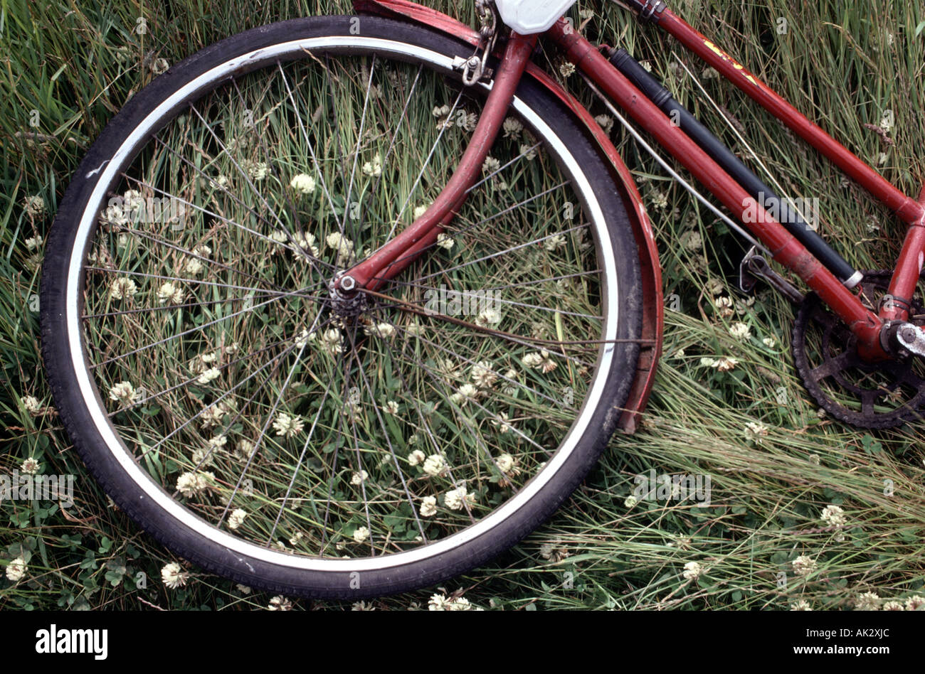 Stillleben mit roten Fahrrad ruht in einem Feld Stockfoto