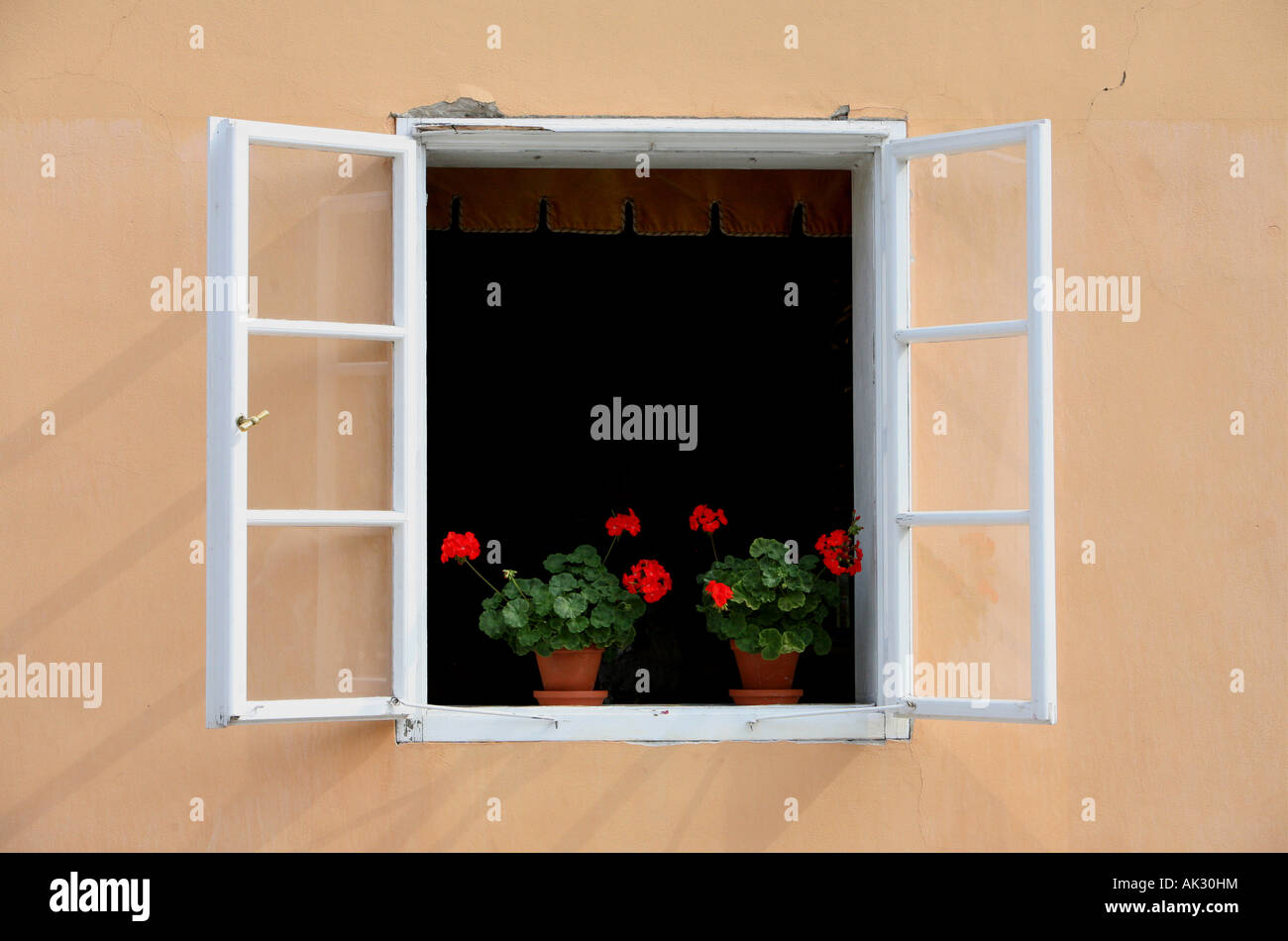 Fenster mit Blumen-Prag Stockfoto