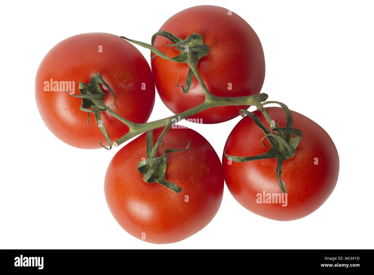Reihe von Tomaten 1 Stockfoto