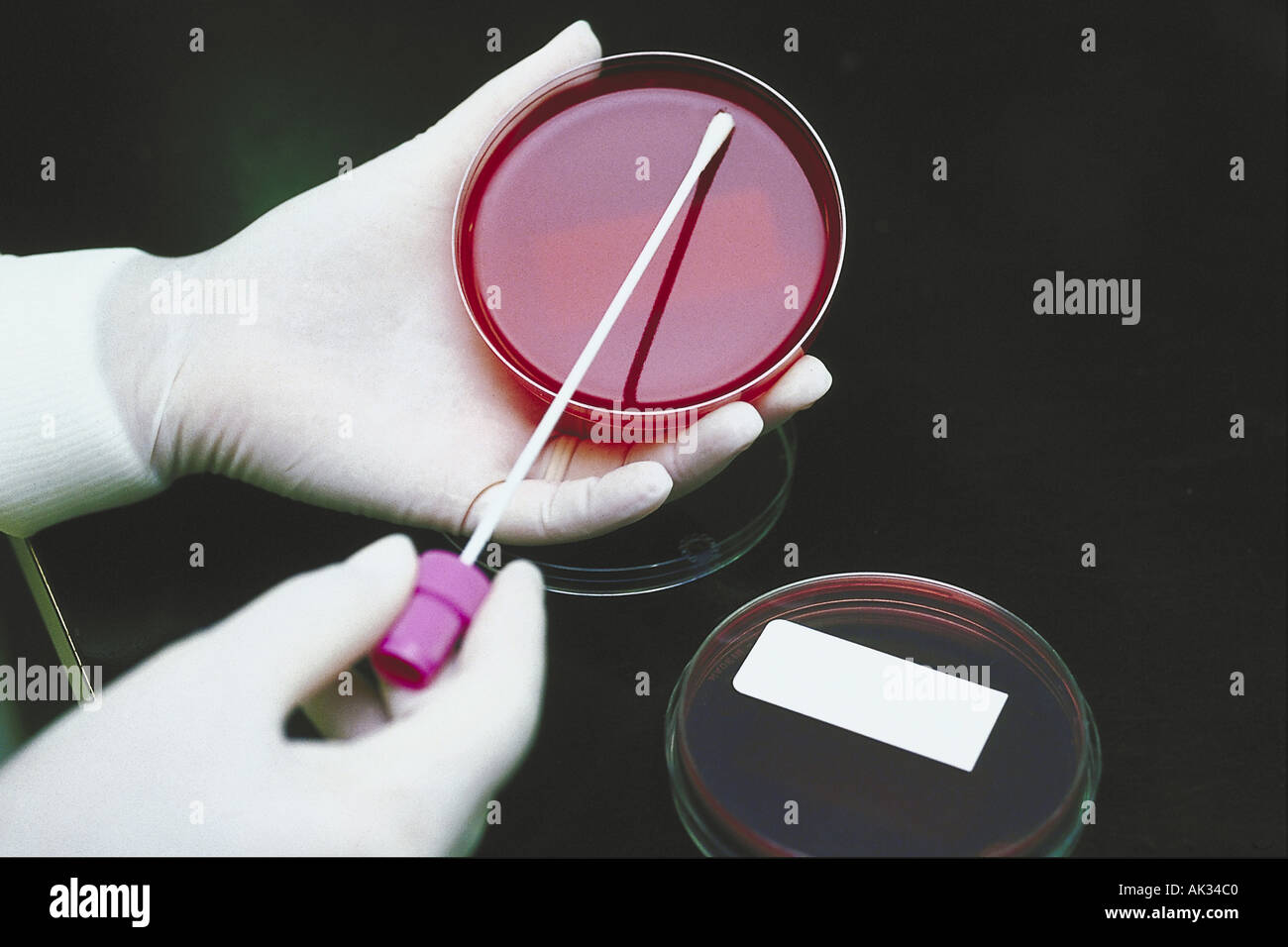 Wissenschaft Medizin 001301 Stockfoto