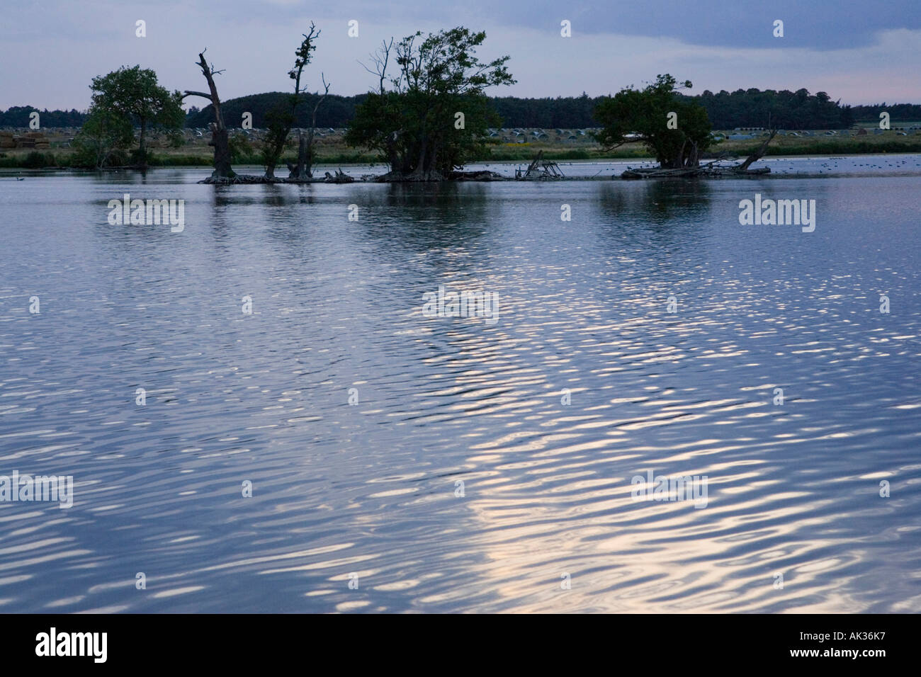 Ein Blick über den See in der Nähe von großen Livermere und Ampton in Suffolk, UK Stockfoto