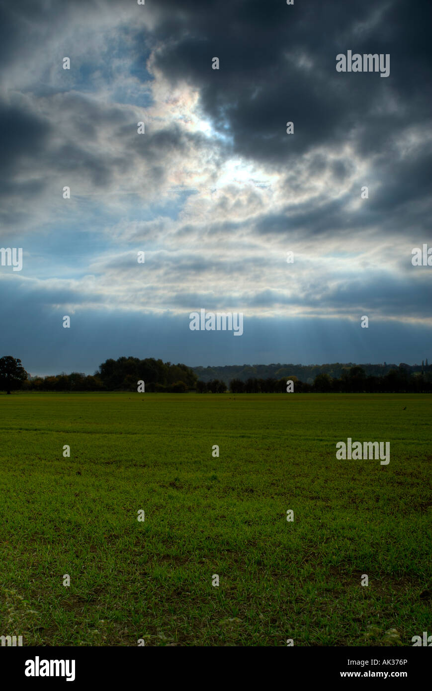 Ein grünes Feld macht eine Landschaft Szene unter einem grüblerischen Himmel mit Sonnenlicht zu durchbrechen. Stockfoto