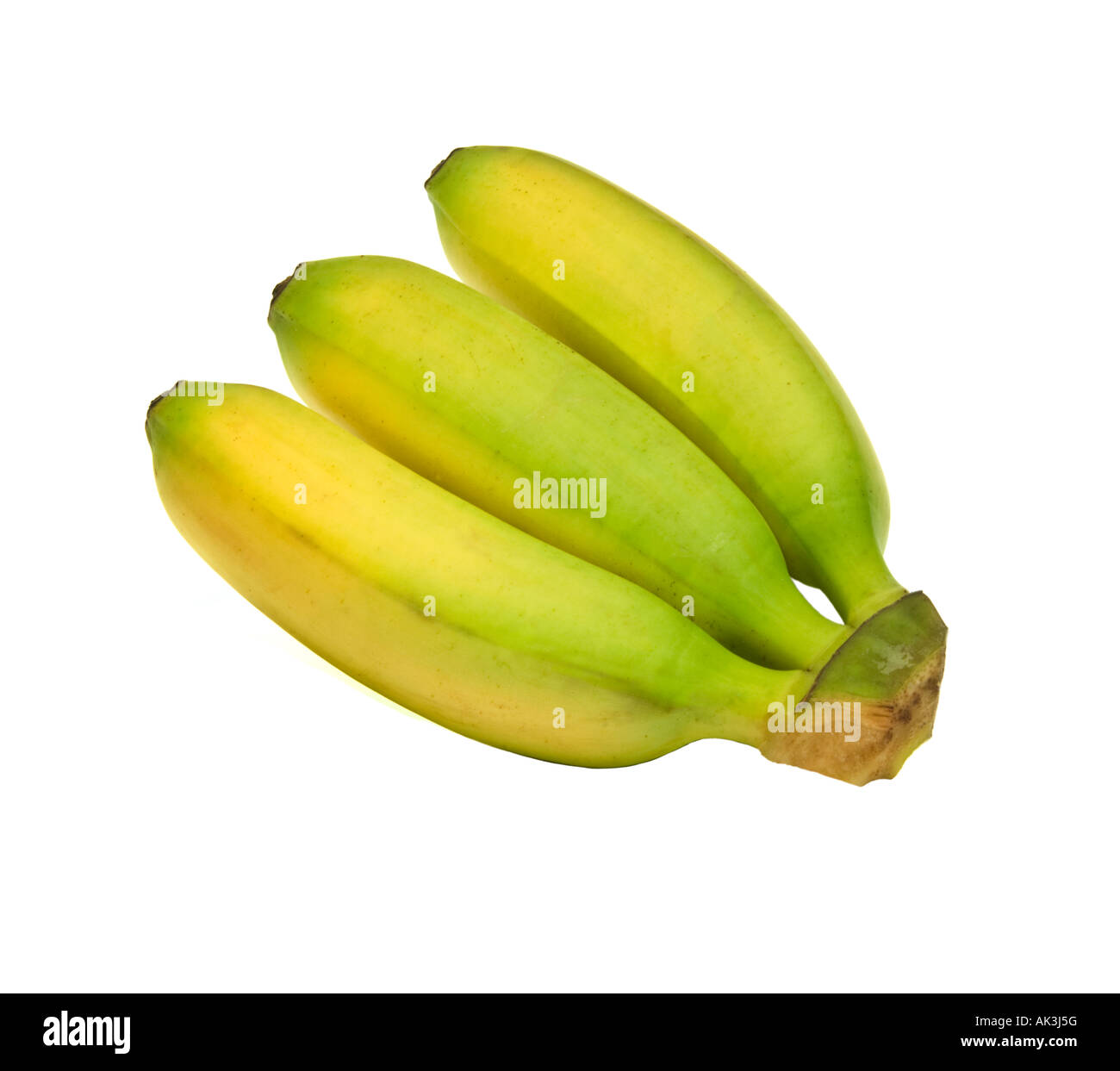 BABY Bananen Oritos Lady Finger Manzanosripe schöne gelbe schöne reichen gut Stockfoto