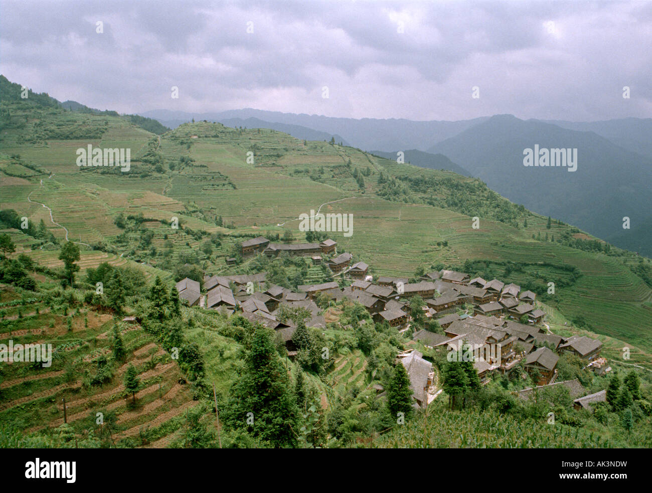 Blick auf Terrasse Longji Reis Felder, auch bekannt als der Drache Rückgrat, mit Ping'An Dorf im Hintergrund Stockfoto