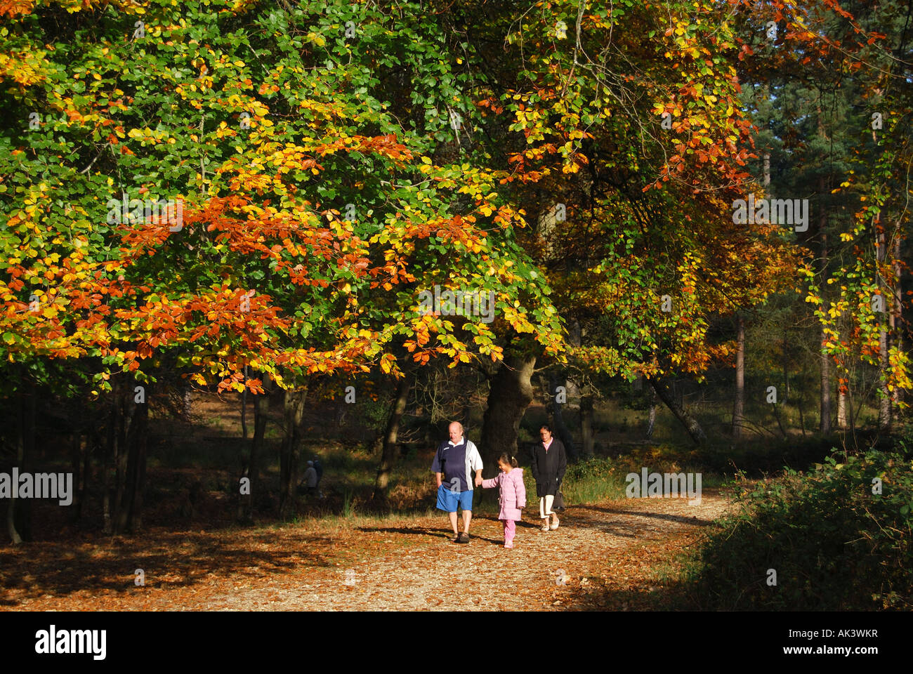 Familie zu Fuß auf den Weg, New Forest National Park, Hampshire, England, Vereinigtes Königreich Stockfoto