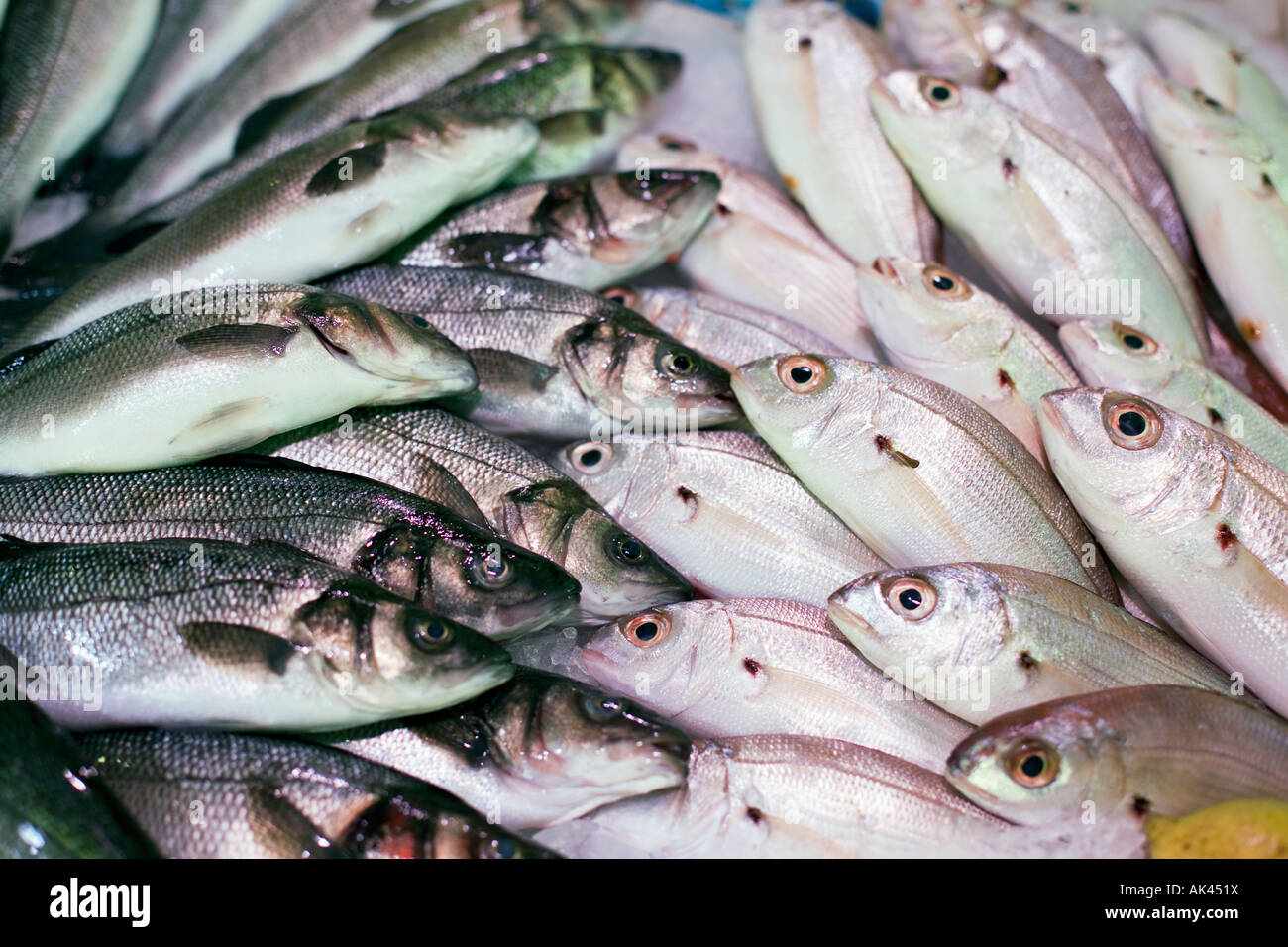 Fisch auf einer Platte auf einem Fischmarkt Stockfoto