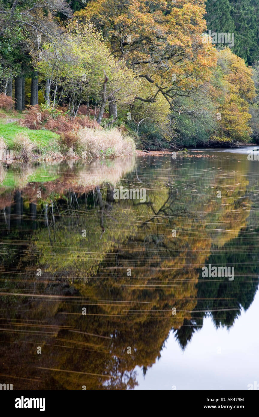 Fluss Forth fließt durch Loch Ard Wald in der Nähe von Aberfoyle Stockfoto